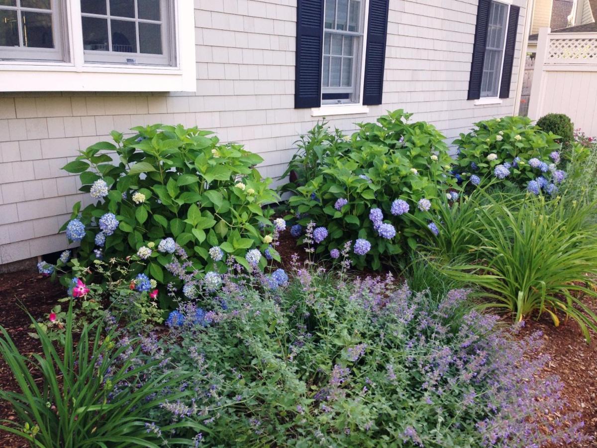 161 Bay Lane Centerville Cape Cod - Bay Breeze Exterior foto
